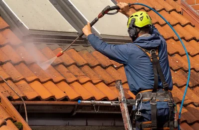 Démoussage et hydrofuge de toiture à Échalas